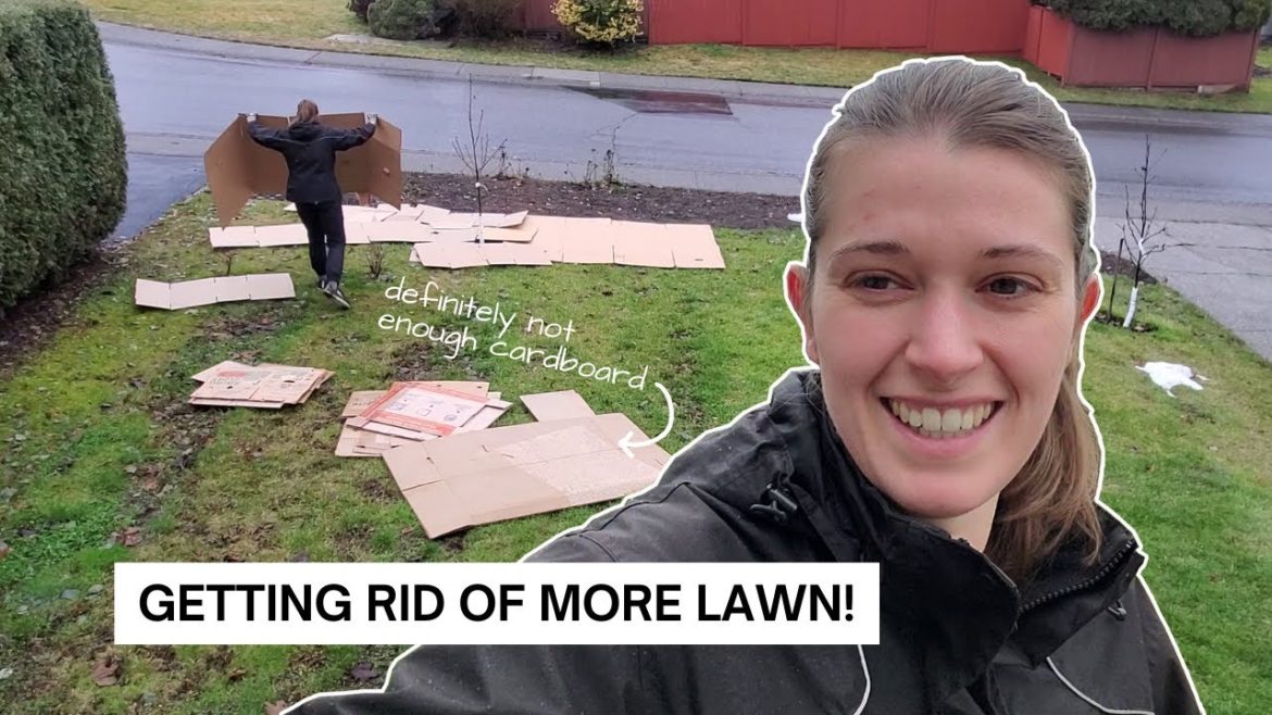 We're SHEET MULCHING our suburban front yard...will we beat the snow?