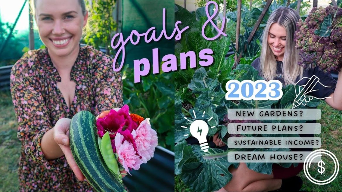🏡 2023 GOALS and sustainable journey update - How I'm creating the life of my DREAMS ✨