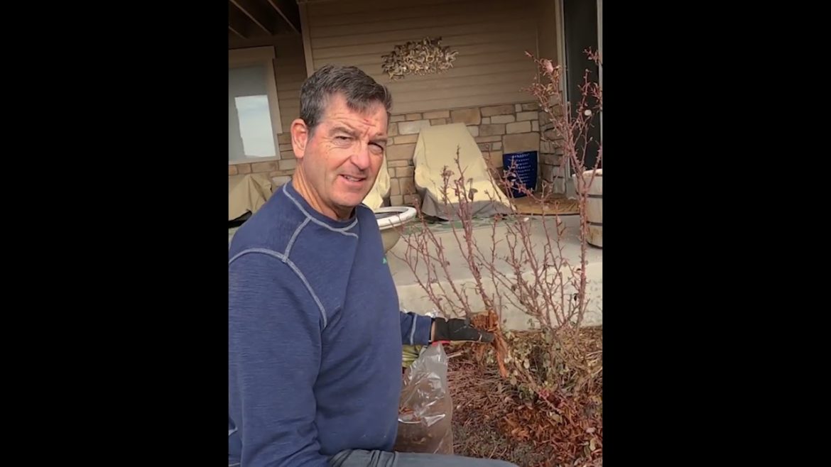 Protect Your Landscape Garden from a Severe Cold Snap