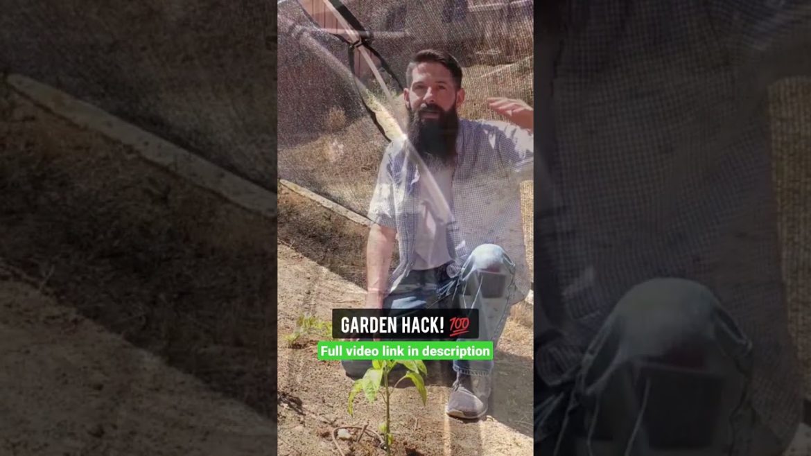 Garden Hack to block wind! 👏🤯💯🌱 #gardeninghacks #gardeningtips #gardentips