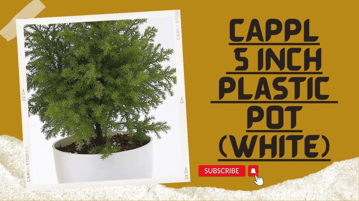CAPPL 5 Inch Plastic Pot White