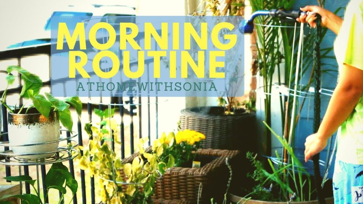 PATIO CONTAINER GARDEN INNER ZEN MORNING ROUTINE 2017 | SONIA JAHAN PATIO CONTAINER GARDEN INNER ZEN MORNING ROUTINE 2017 | SONIA JAHAN