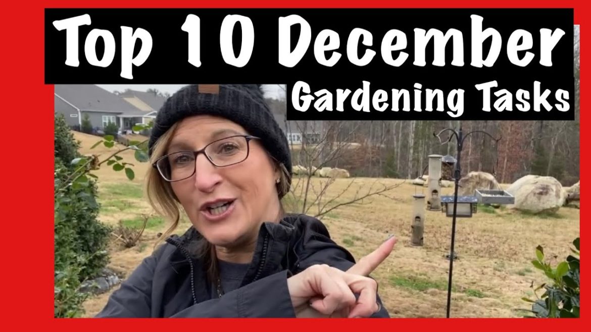 TOP 10 DECEMBER GARDEN TASKS/ CHORES / GARDEN  MAINTENANCE TIPS