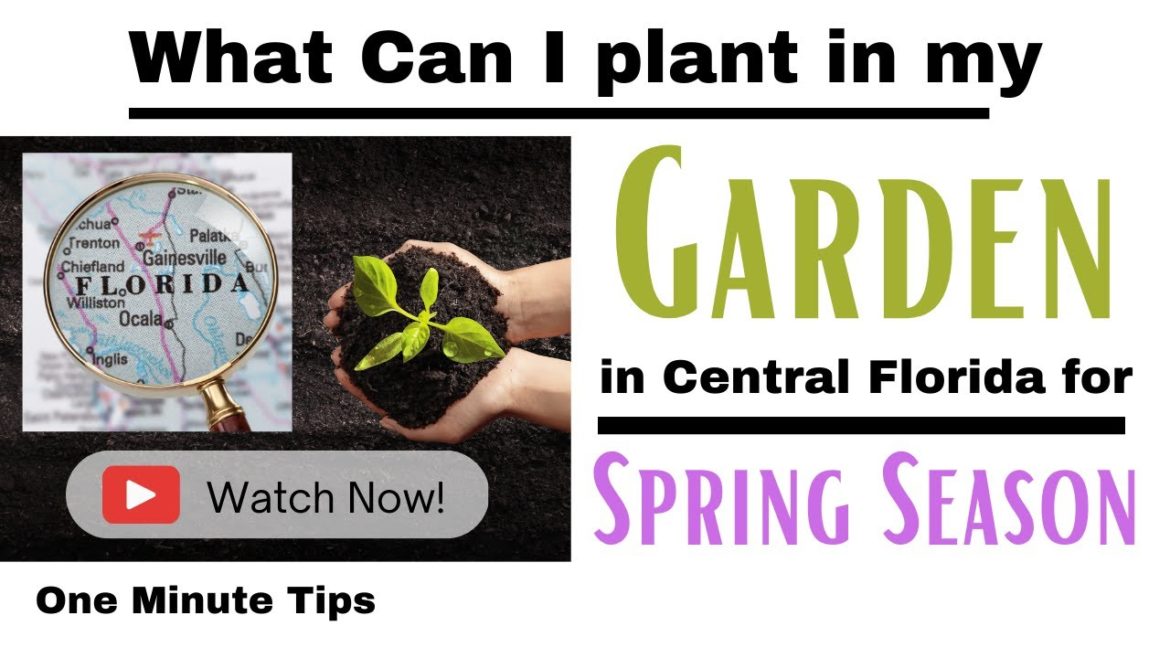 One Minute Tips - Garden - Central Florida -What can I Plant in my Garden for Spring Season!