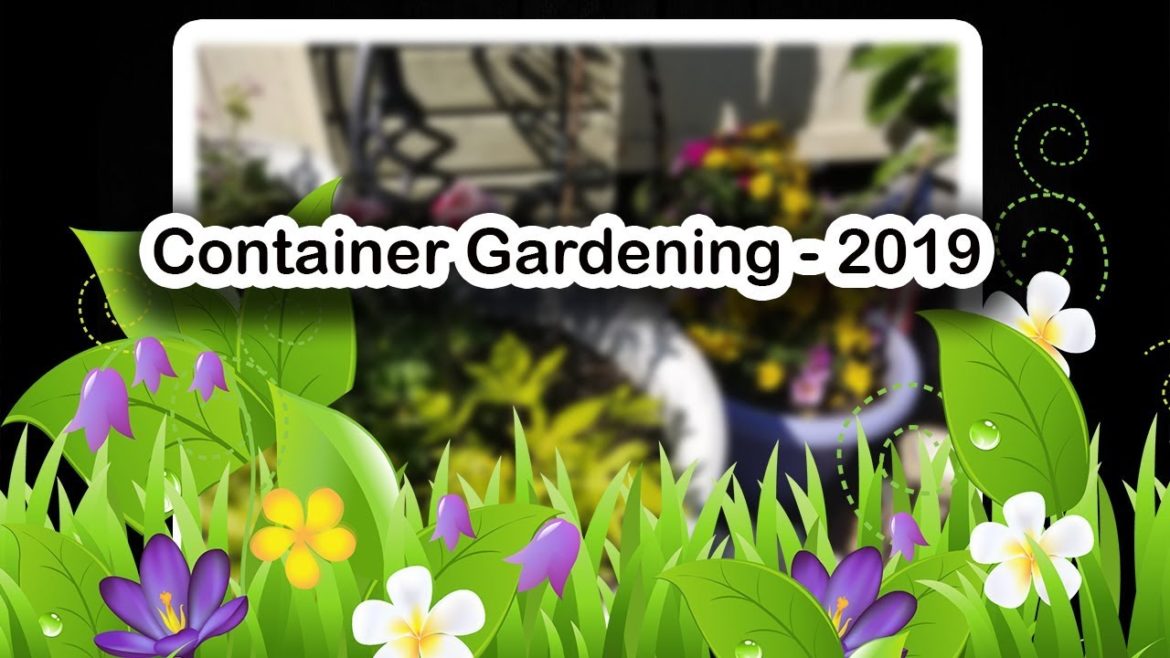 🌼 Container Gardening - 2019 🌼