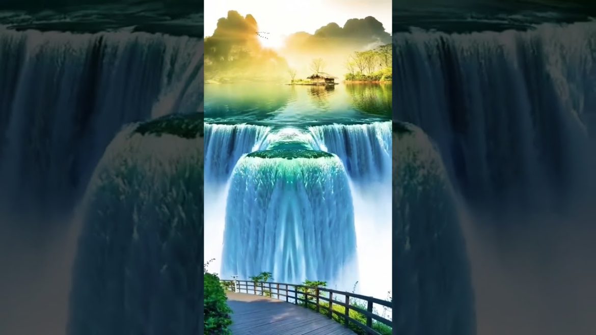 Garden Design Garden Design