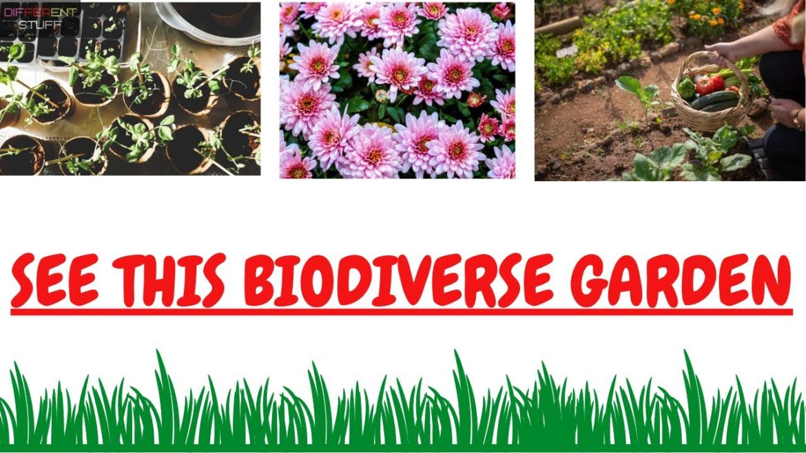 Garden Tour | Gardening Tips | Biodiverse Garden | Motivational and Inspirational Gardening