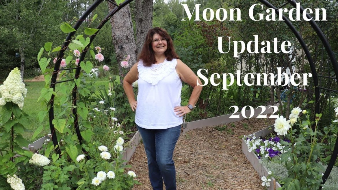 Moon Garden Tour Sep 2022 β¨πππβ¨ // Gardening at the Simongetti North Moon Garden Tour Sep 2022 β¨πππβ¨ // Gardening at the Simongetti North