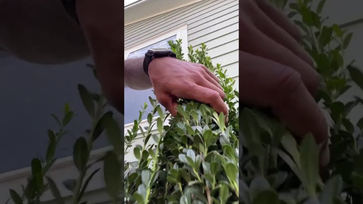 Nature Is Art Nature Is Art