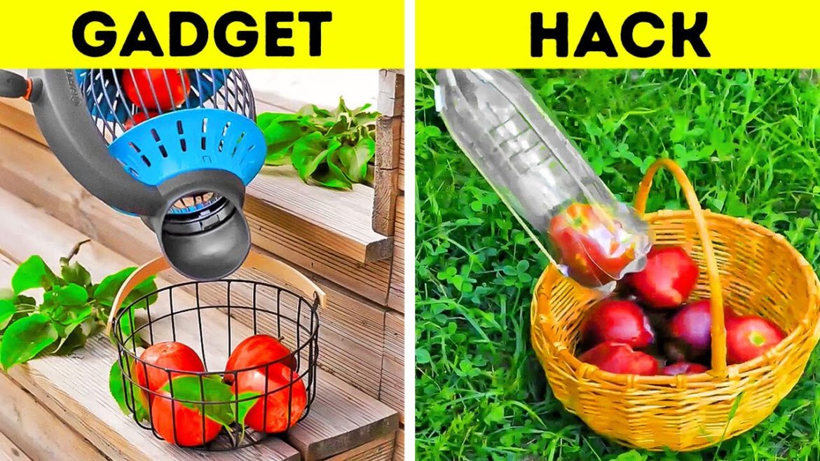Genius Gardening Hacks That Will Amaze You