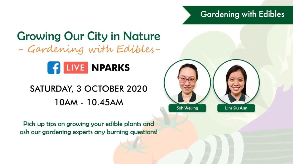 Gardening with Edibles Facebook Live | Episode 3 Gardening with Edibles Facebook Live | Episode 3
