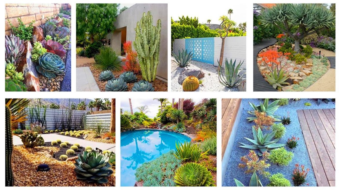 Top 40 Best Desert Landscaping Ideas
