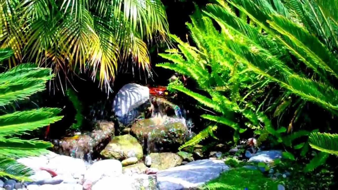 Beautiful Front Yard Garden in Los Angeles with Fountain & Waterfall
