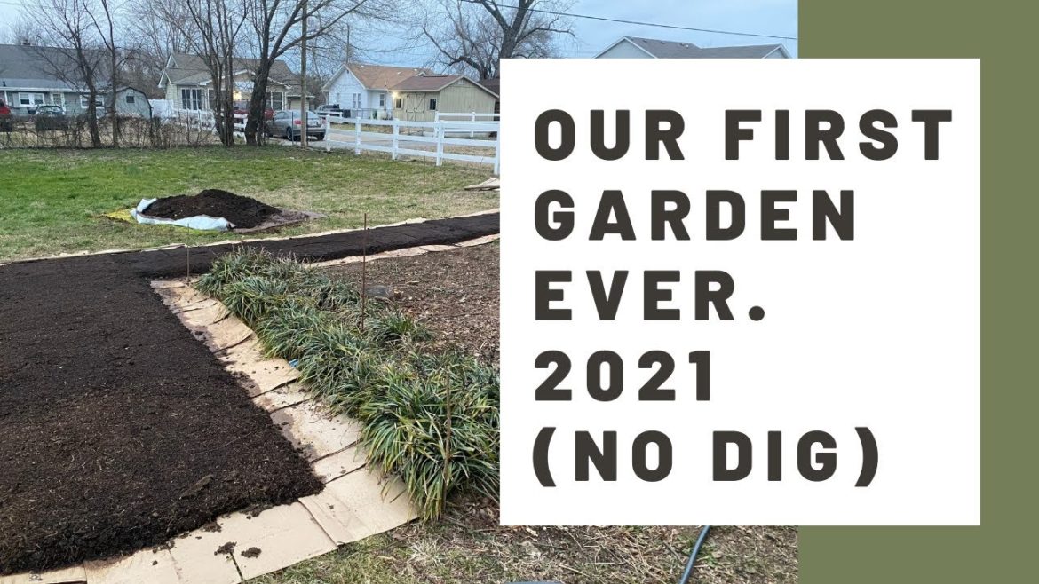 Our First Garden Ever! 2021 No Dig No Till Vegetable Gardening Urban Homestead Nashville TN Zone 7a