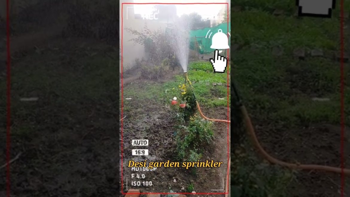 gardening tips & techniques at home#shorts#garden ideas care & Desi sprinkler at home