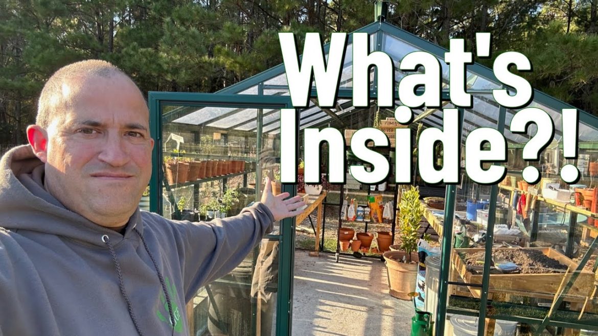 Ep.212  Greenhouse Update