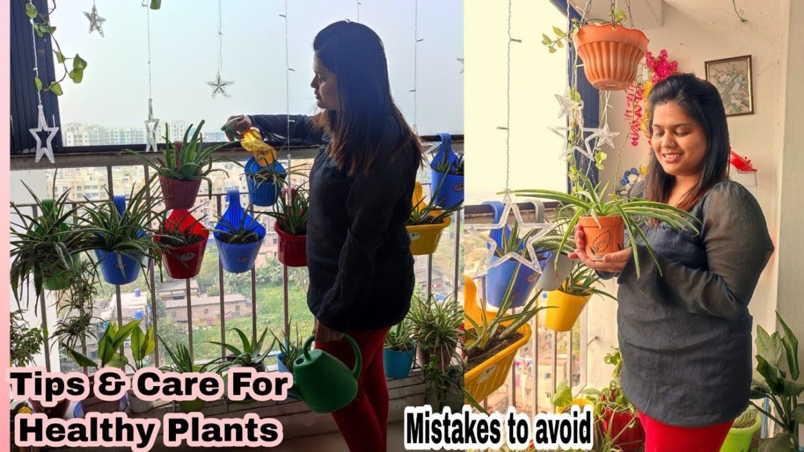 How to Care Balcony Garden | Gardening for Beginners | Secret Gardening Tips | @SmileFactoryVlog How to Care Balcony Garden | Gardening for Beginners | Secret Gardening Tips | @SmileFactoryVlog