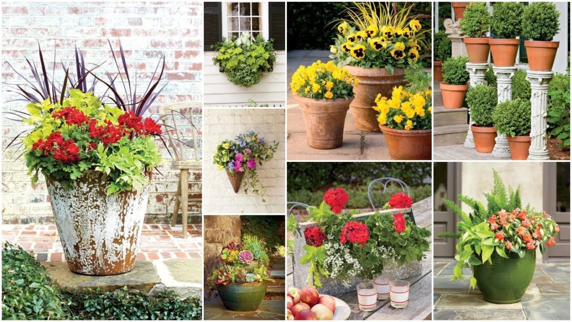 100+ Container Gardening Ideas | You Must Try These Container garden