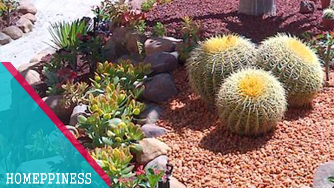 (VERY EASY) DIY Attractive Succulent Garden with This Creative Succulent Garden Design Ideas (VERY EASY) DIY Attractive Succulent Garden with This Creative Succulent Garden Design Ideas