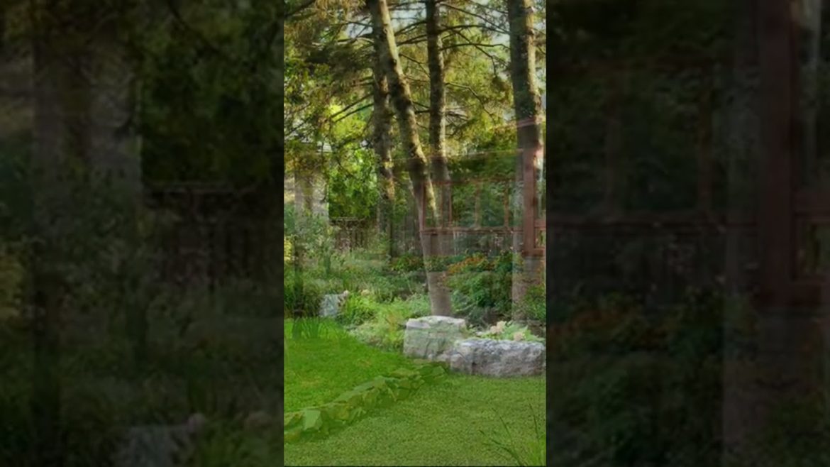#backyardideas #shortvideo #landscapedesignideas #trees  #trending #viral #gardentastic #shorts