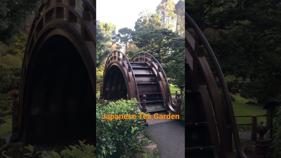 Japanese Tea Garden: San Francisco | Unboxing Traveler