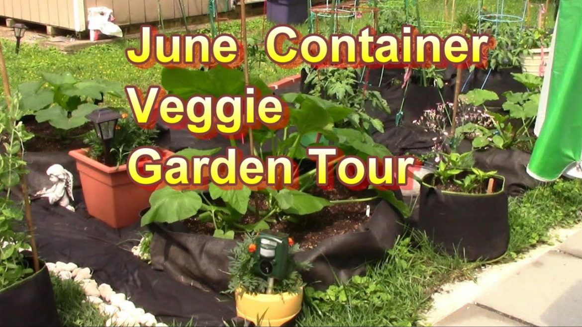 Veggie Container Garden Tour and Update for June 2022 Veggie Container Garden Tour and Update for June 2022