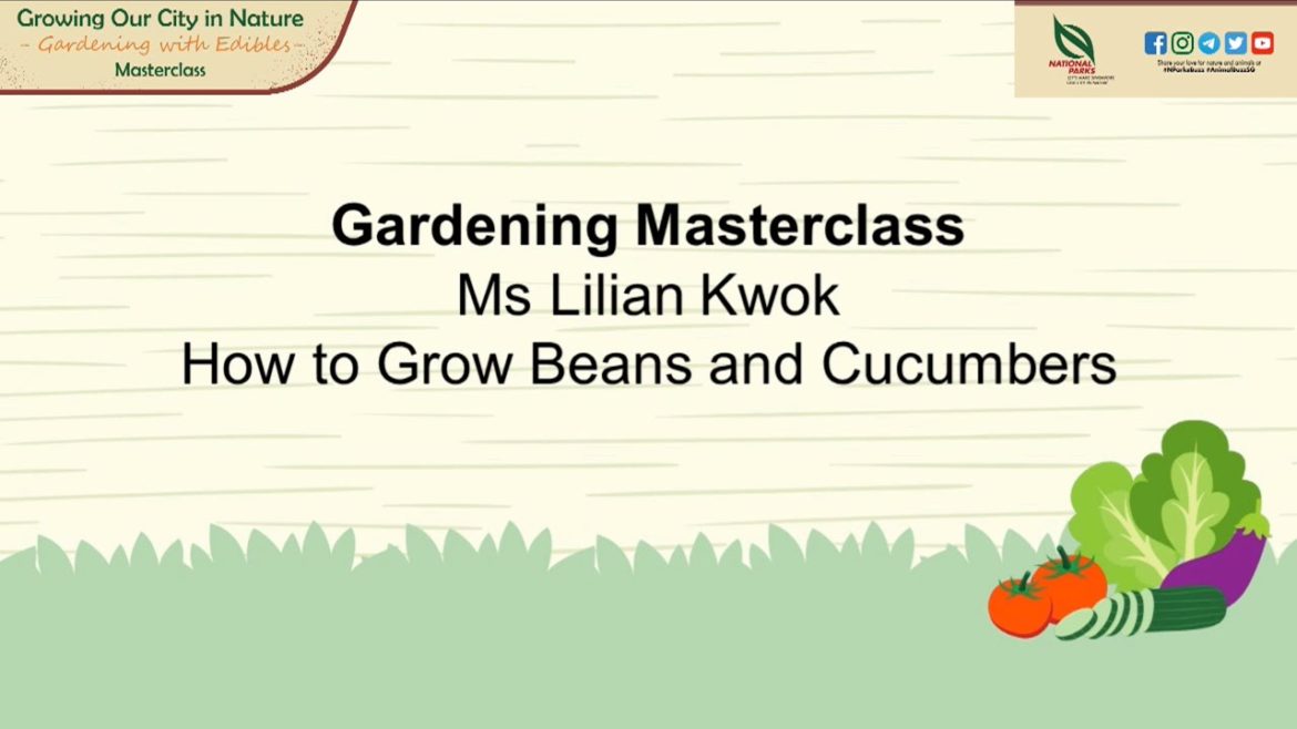Gardening Masterclass: How To Grow Beans And Cucumbers Gardening Masterclass: How To Grow Beans And Cucumbers