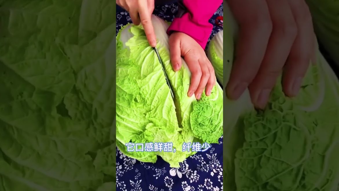 how to growth vegetable /gardening ideas for home