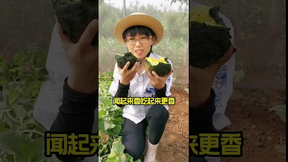 how to growth vegetable /gardening ideas for home