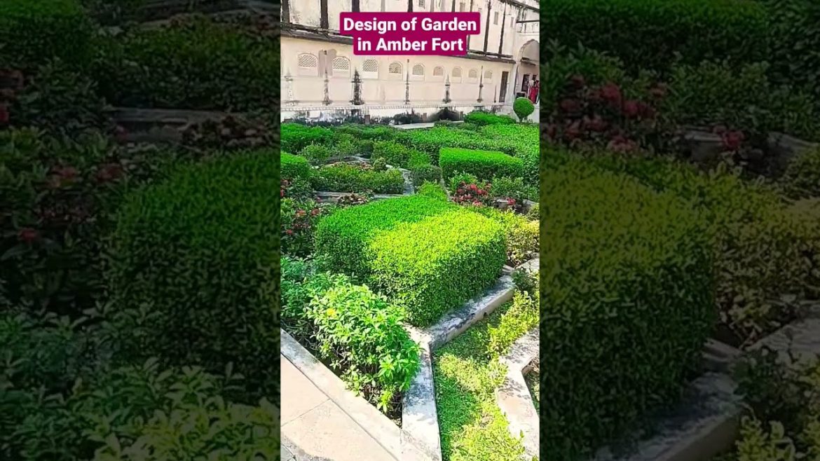 Garden Design #plants #plants #garden #design #jaipur #heritage