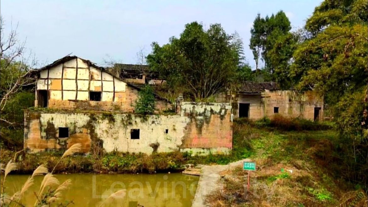 A heavy game FAN plans to renovate the old house ~ Clean the room and build an outdoor kitchen