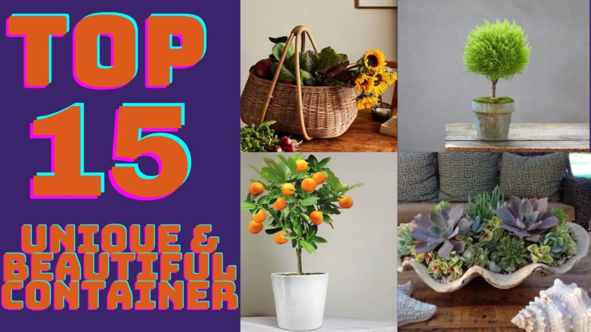 15 Unique and Beautiful Container Garden Ideas