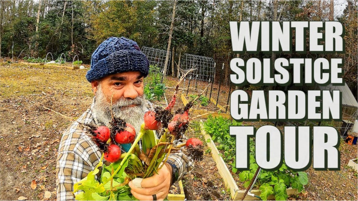 It's time for a Winter Garden Tour