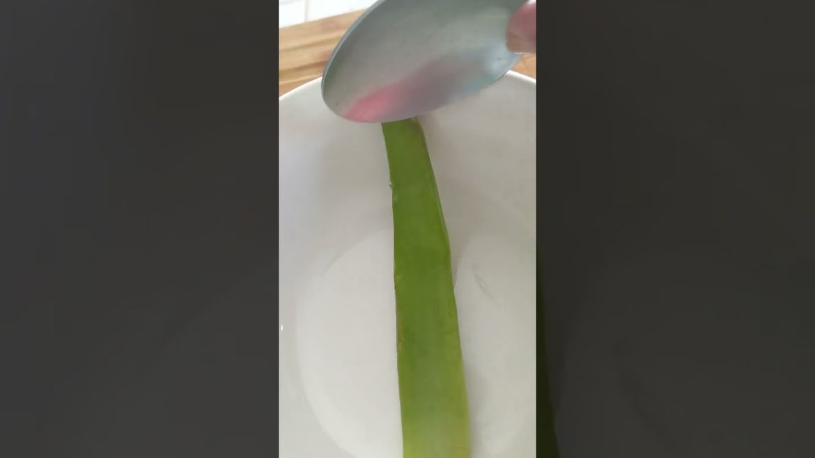 Aloe Vera Grapefruit Smoothie #aloevera #grapefruitfails #smoothie #juice Aloe Vera Grapefruit Smoothie #aloevera #grapefruitfails #smoothie #juice