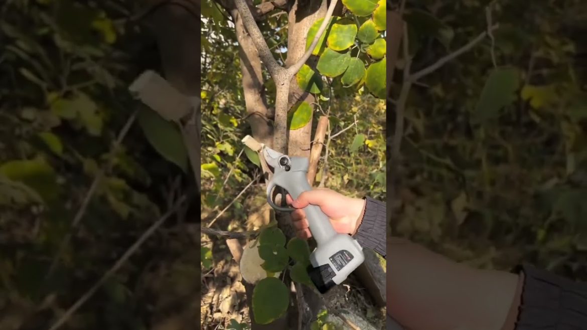 😎 Smart Gadget ! Stem Cutter  🧑🌾Gardening Tool  #shorts 😎 Smart Gadget ! Stem Cutter  🧑🌾Gardening Tool  #shorts