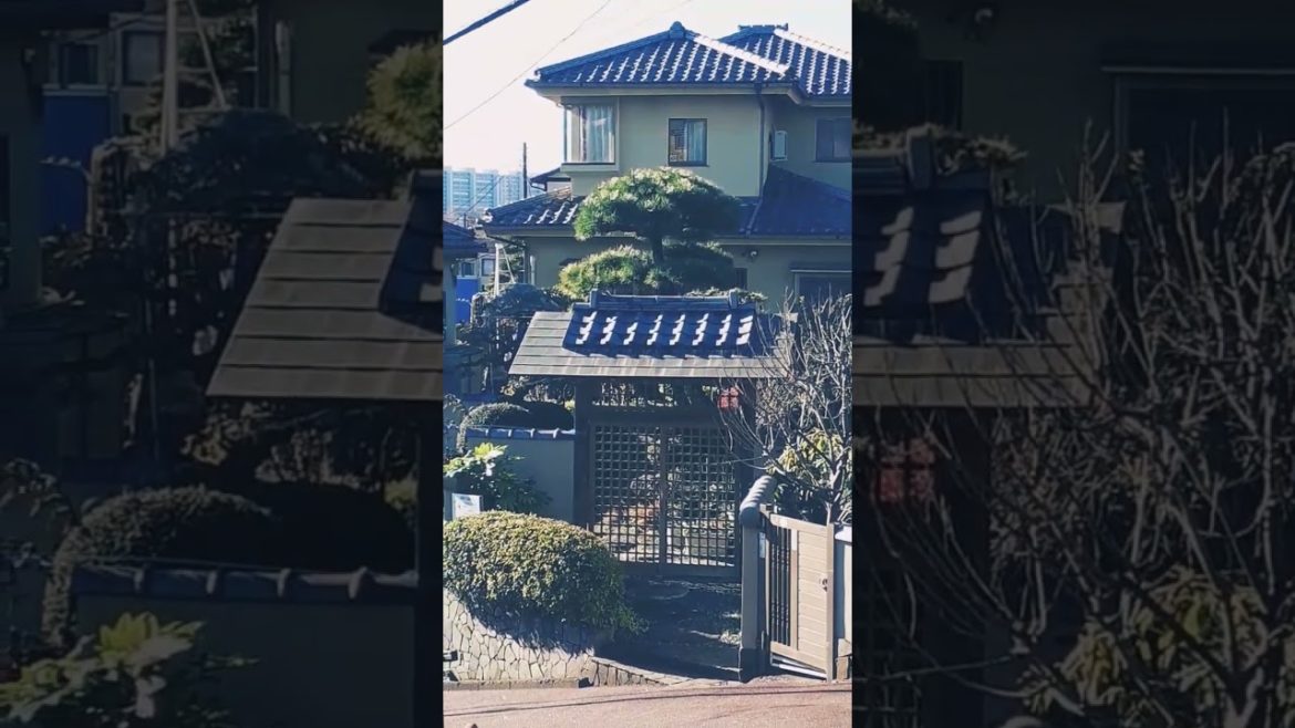 Japanese garden and gate