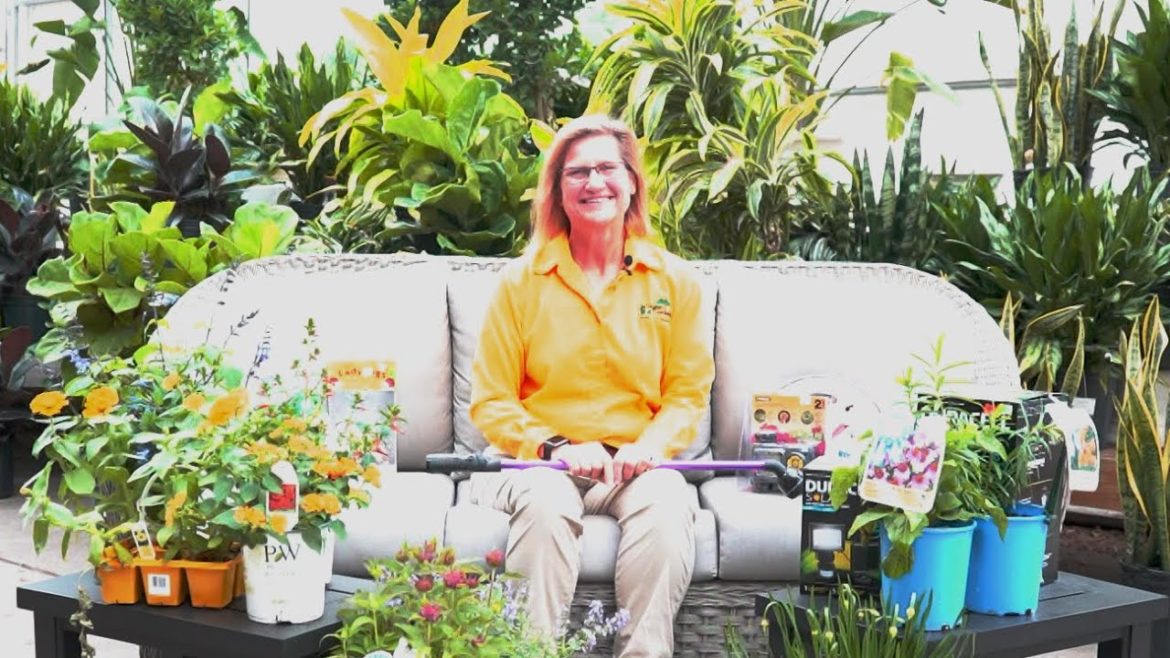 Environmentally Friendly Gardening Tips ENGLISH GARDENS