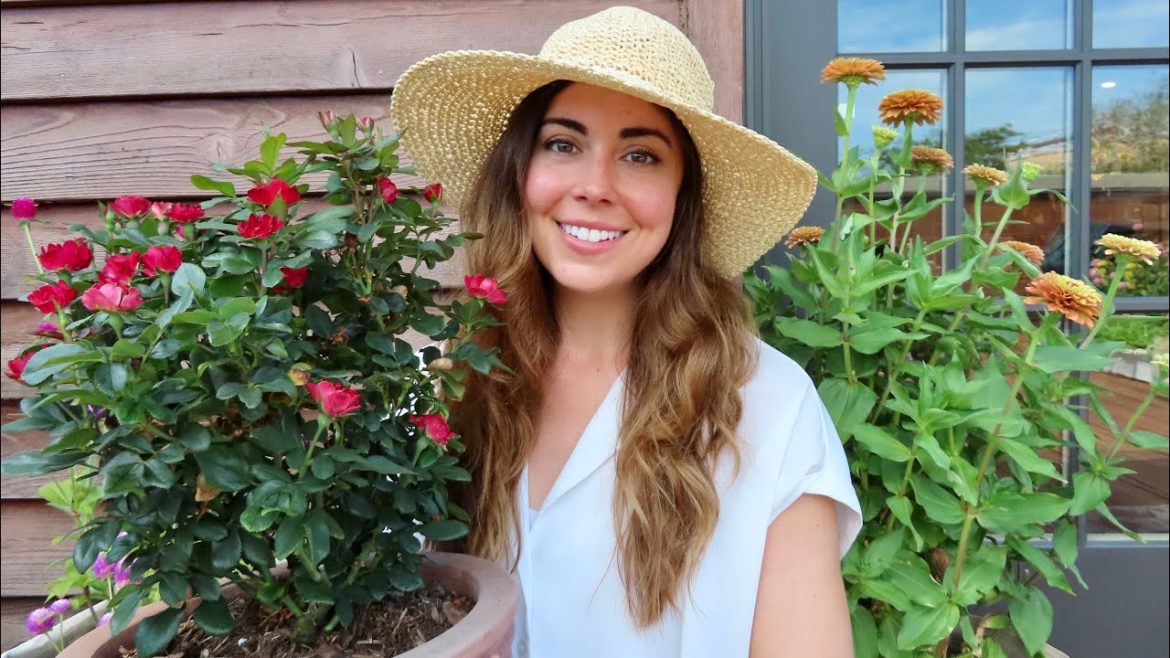 The Best Pot Sizes For Plants In Your Garden | Container Gardening Tips