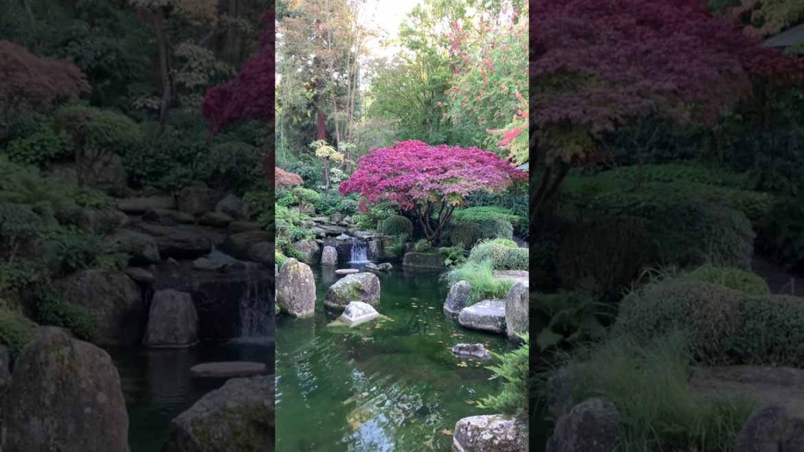 #Japanese #Garden #Würzburg