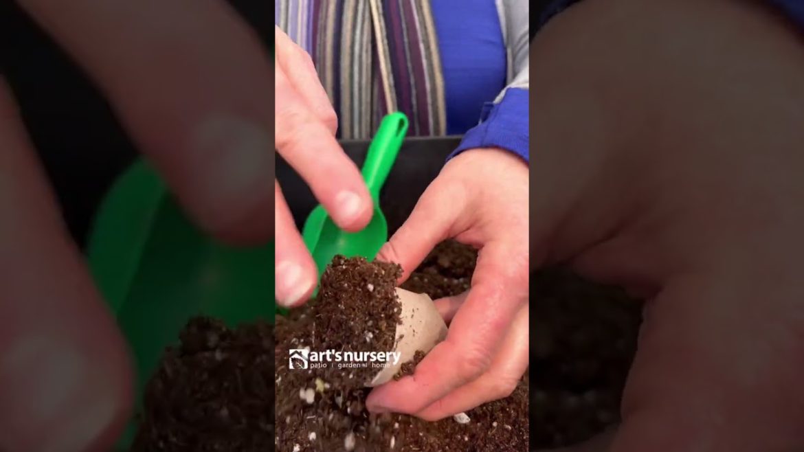 Gardening Hack: Make your own seed starting containers