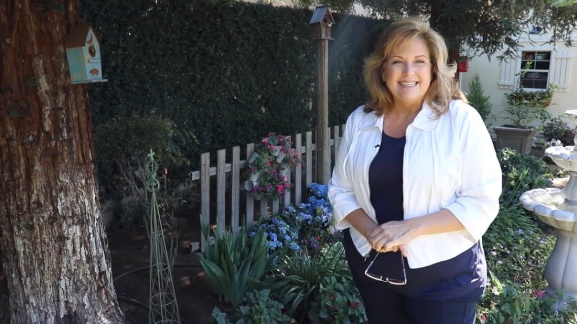 Our First Backyard Garden Tour/June 2022 ~ birdhouse garden Our First Backyard Garden Tour/June 2022 ~ birdhouse garden