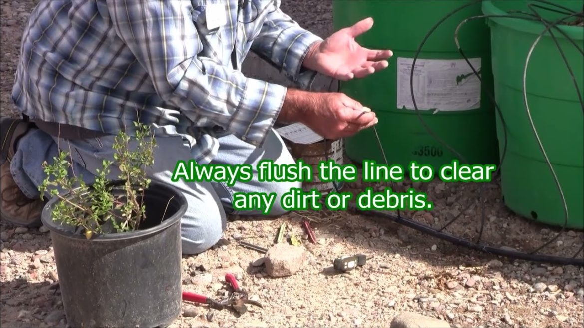 HOME IRRIGATION: Spot Sprayers for Container Irrigation ("Spot Sprayers"; "Spot Spitters", Etc.)