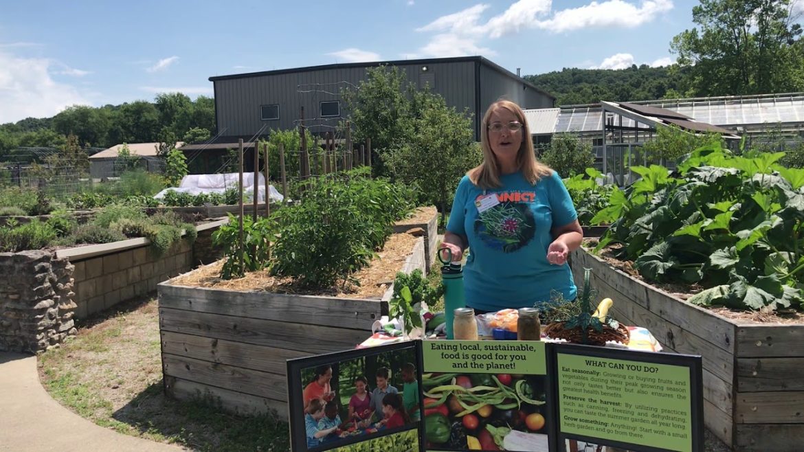 Virtual Discovery Station: Edible Garden Part 1