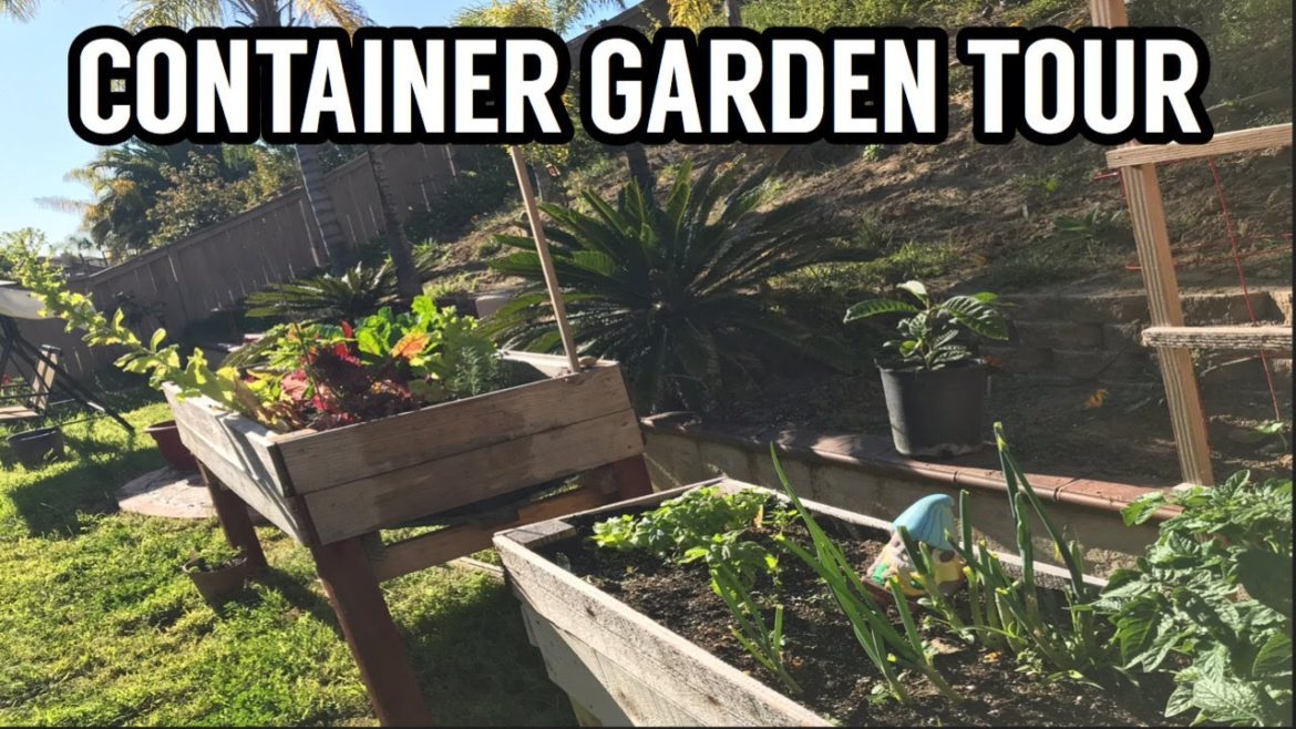 March & April 2020 Container Garden Tour