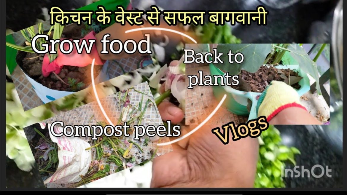complete guide for #organicgardening #compost and grow#veges #salad in pot #vlogs complete guide for #organicgardening #compost and grow#veges #salad in pot #vlogs