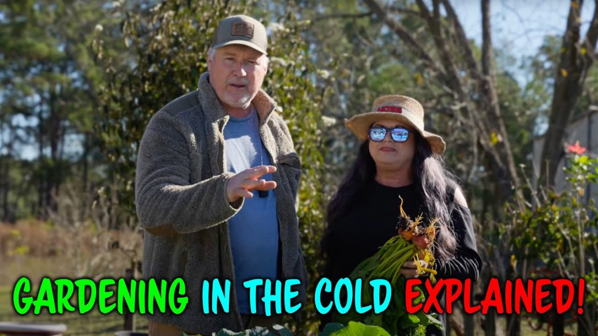 3 Easy Steps To Gardening In The Winter