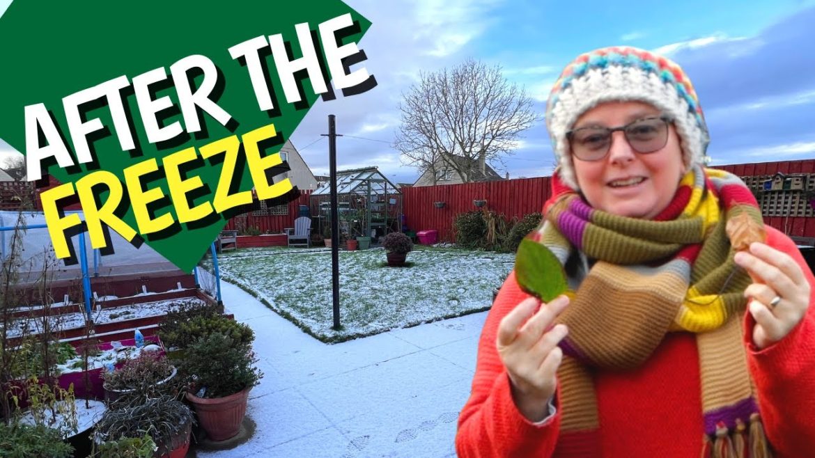 Not all my plants died | frozen garden