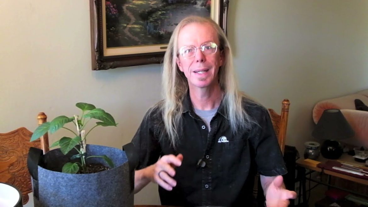 Garden Tips and Reviews - Planter Saucers