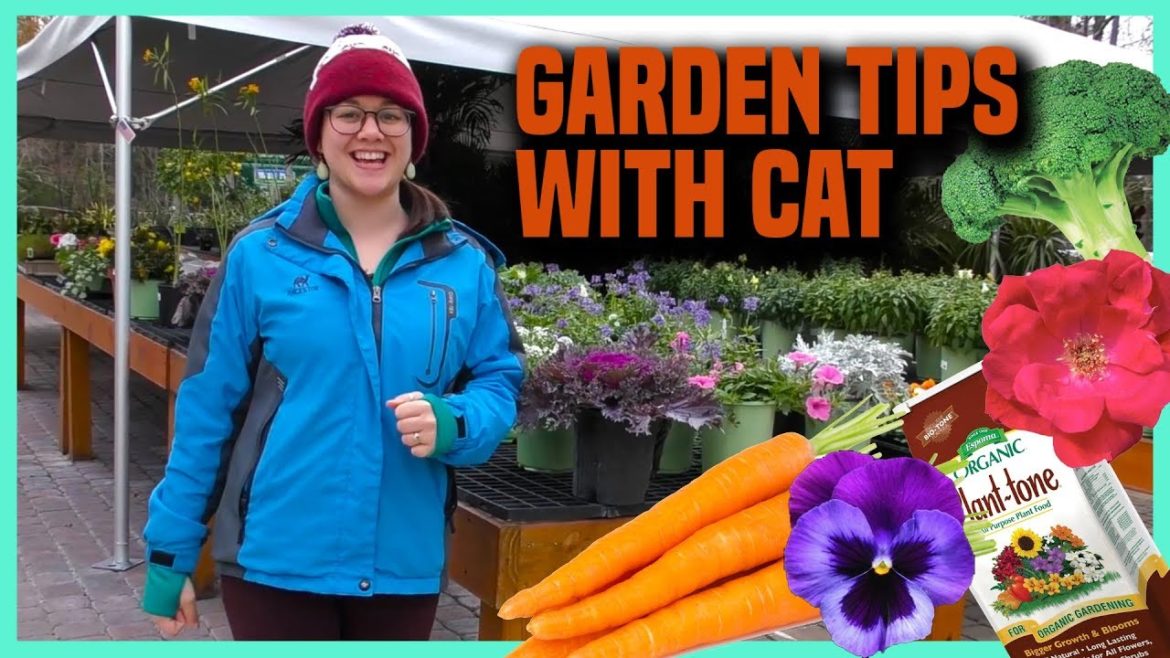 Garden Tips With Cat February 2019 | Earth Works Jax