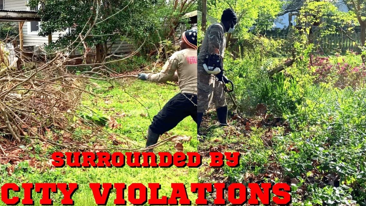 MULTIPLE  City VIOLATIONS  Yard Had 3 SNAKES Hidden On The Ground